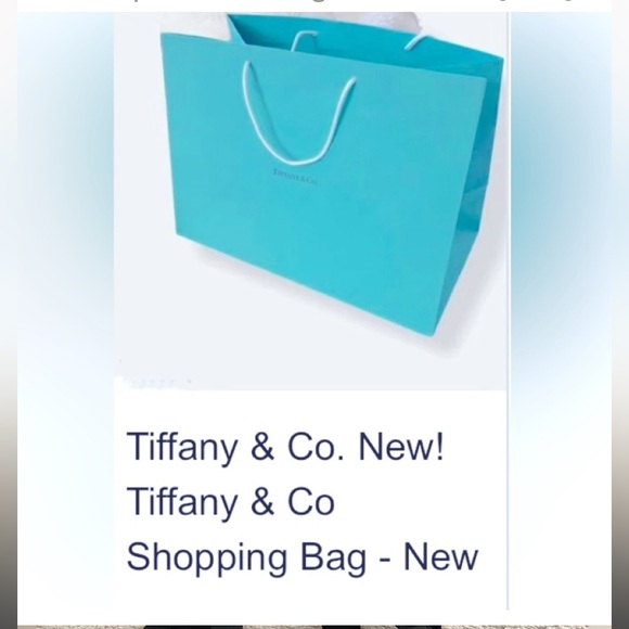 TIFFANY&COMPANY Shopping Bag! 2 Elevation Lofts Hotel And Recipe Calendar/ FREE! - Picture 2 of 5